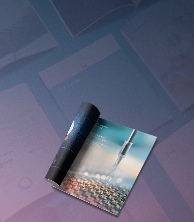 连云港高端高册设计